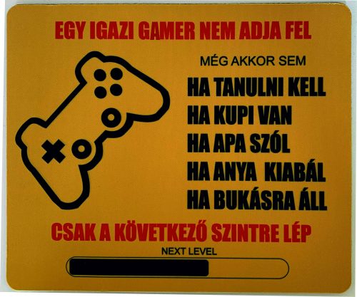 EGY IGAZI GAMER NEM ADJA FEL EGÉRPAD